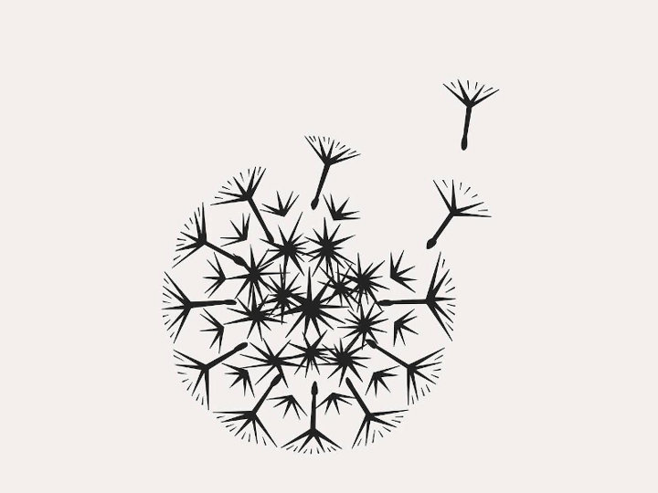 Wilder Botanics