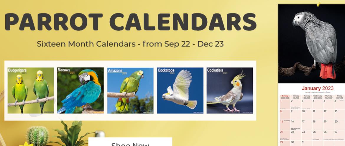 Northern Parrots